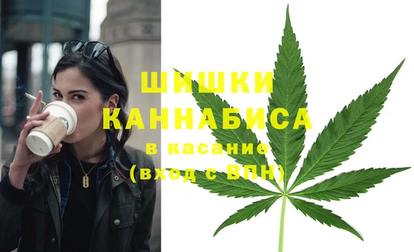 стаф Абинск