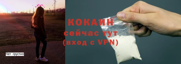 стаф Абинск