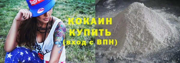 стаф Абинск