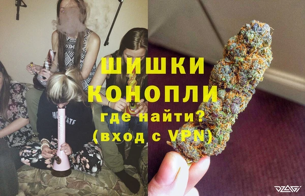 сатива Заволжск