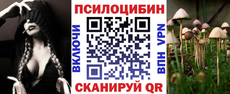 Галлюциногенные грибы Psilocybine cubensis  Благовещенск 
